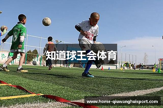 知道球王会体育